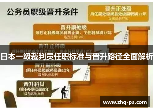 日本一级裁判员任职标准与晋升路径全面解析