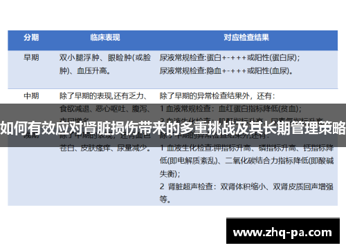 如何有效应对肾脏损伤带来的多重挑战及其长期管理策略